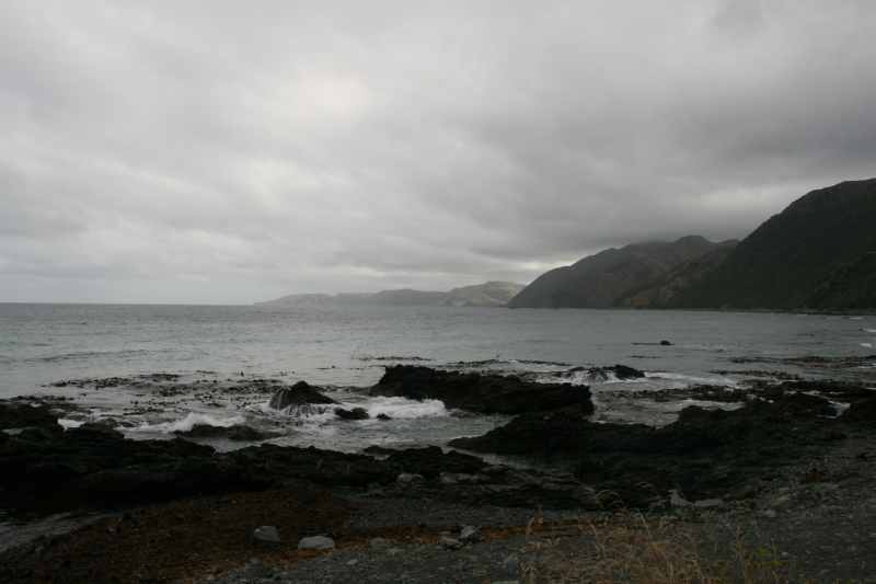 Nieuw-Zeeland 2011 - 1186